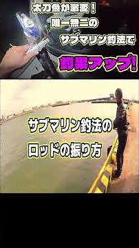 【太刀魚】太刀魚が激変!サブマリン釣法で釣果アップ!!#太刀魚 #天竺太刀魚 #怪魚 #大物釣り #shorts
