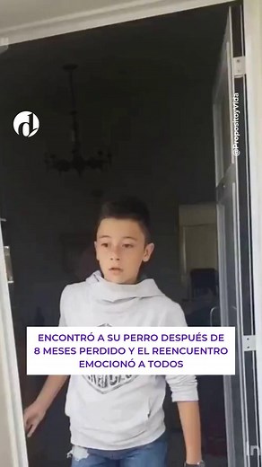 557K views · 31K reactions | Así reaccionó una familia cuando encontraron a su perro después de 8 meses. 凉 Un amigo de la familia logró localizarlo y lo trajo de vuelta a casa 輸 | Televisión Argentina | Facebook