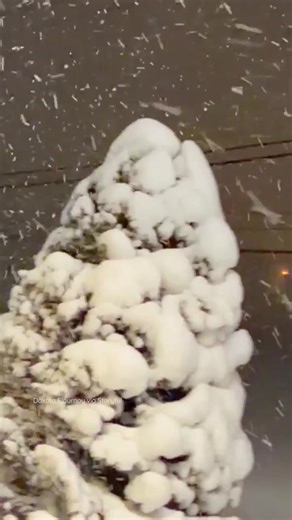 Snow has been stacking up all night and all day in the Northeast. As of 10 a.m. on Monday, Mount Holly New Jersey was sitting under 18 inches of fresh snow. This video was taken just a few hours earlier when the total was sitting closer to 14 inches. The snow is still coming down and for some this storm system could continue into this evening. | WeatherBug