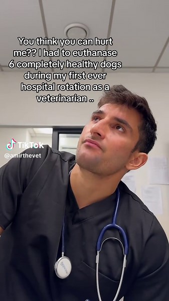 The Heartbreaking Reality of Euthanizing Healthy Pets
