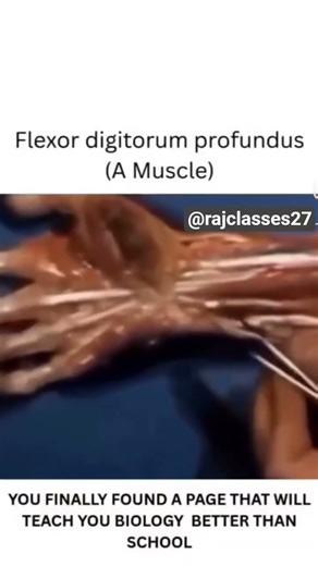 💯🧠#microbiology 🧠🔥#teaching #memes #notes 💯🔥