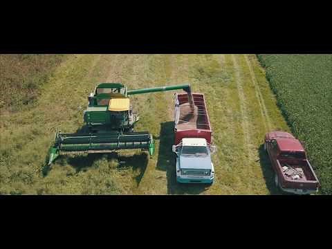 Hemp Harvest at Kentucky Hemp Works