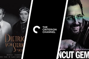Best Criterion Films in 2025: 19 Criterion Collection Films You Should Own