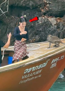 Cheeky Monkey: Trouble’s My Middle Name!🐒😜 | The last laugh