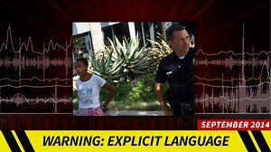 'Django Unchained' Actress -- Cops: After Car Sex She Pulls Race, Fame Card