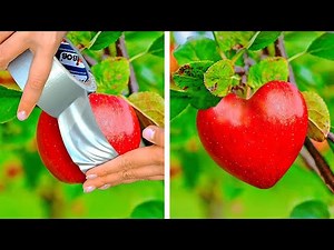 26 Simple Plant-growing Hacks For Your Tiny Garden