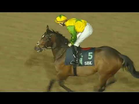 🇬🇧 Race No -06 WOLVERHAMPTON