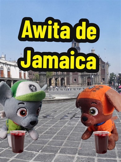 Celebrando con Agüita de Jamaica y Gorditas de Manteca