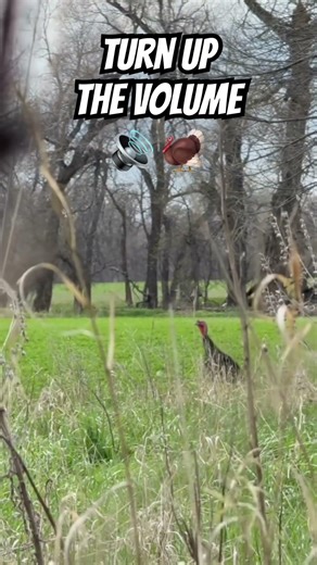 Jakes talking on today’s episode!! #turkeycalling #turkeyhunting #hunting #gobbler #yelp