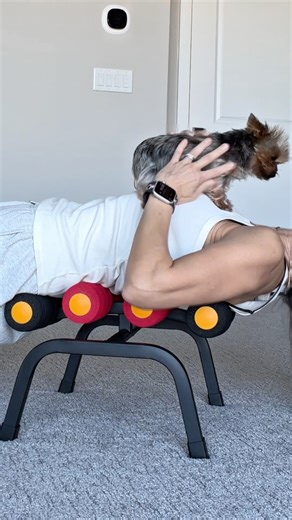 Getti Kehayova on Instagram: "Instant back and neck relief 🔗 Link in Bio #miniinversiontable #inversiontable"