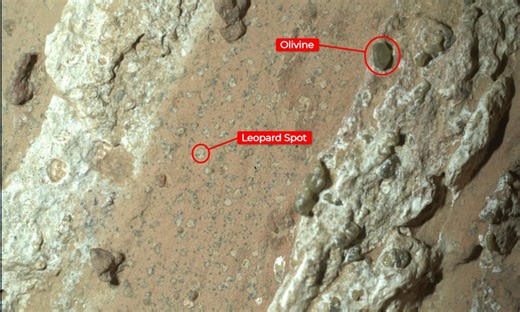NASA-Rover Perseverance: Mögliche Spur von Leben auf dem Mars gefunden