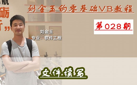 零基础VB教程028期：文件读写