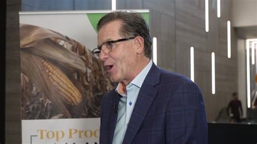 Soybeans Rally on China Export Promises, Amid Record Brazilian Supply