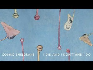 Cosmo Sheldrake - I Did And I Don’t And I Do