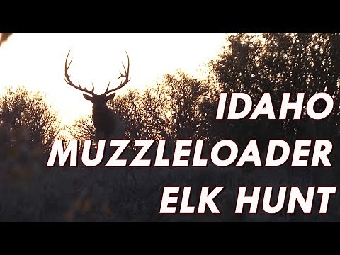 Idaho Muzzleloader Elk Hunt
