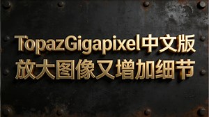 【充电专属】超级惊艳的TopazGigapixel1.0.7中文版使用详解教程，AI技术放大图像又增加细节，可恢复人脸，生成式模型悉数上场_哔哩哔哩_bilibili