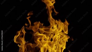 Fires. Blazing fire. Flames pattern. Spark and flame. Flame on black. Glow of fire flames illuminates darkness. Burning flame for overlay background. Sparks fly in a fiery spectacle.