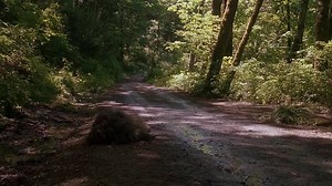 Harry.and.the.Hendersons.1987