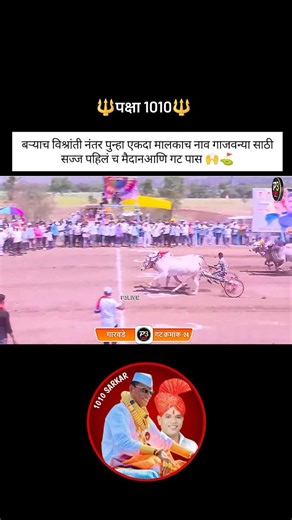 पक्षा १०१० सेमी साठी पात्र 🔥🙌#bailgadasharyat #bailgada #baliraja #bailgadapremi #ytshorts #bull