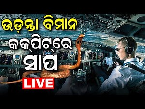 Live: ଉଡ଼ନ୍ତା ବିମାନ କକ୍‌ପିଟ୍‌ରେ ସାପ, ତାପରେ... | Pilot finds deadly cobra in cockpit | Odia News