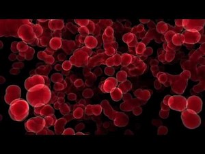 hypervoxel blood