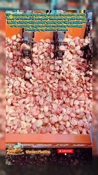 FARMERS 4.0 Can’t Live Without This Garlic Planter Machine #farming #shorts