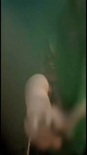 4.4K views · 98 reactions | Ladies, are you looking for Crush...