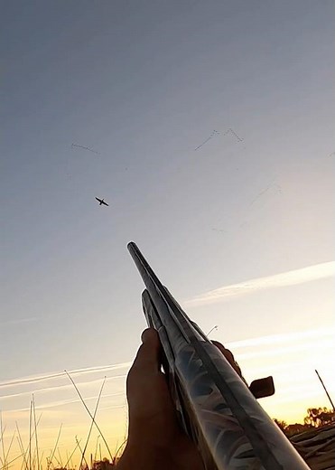 Couple of real easy yet beautiful shots ! #duckhunting #waterfowl #hunting ‪@bossshotshells‬