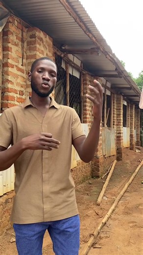 Contact Us for Poultry Solutions in Africa