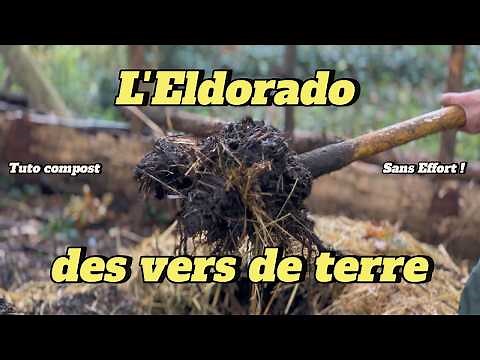 4 Simple Techniques to Create Effective Compost