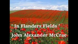 In Flanders Fields Poem by John McCrae