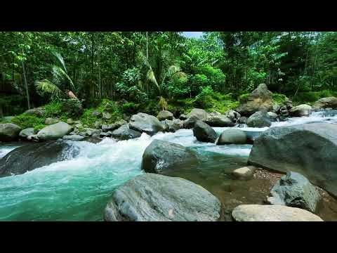 Gentle River Flow | Natural Sleep Aid for Insomnia & Anxiety