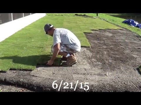 DIY Backyard Putting Green