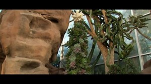 Get Inspired: Advice on taking care of indoor plants