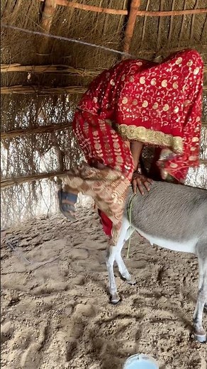 A Poor Girl Made an Amazing Jump to Ride a Donkey in the Desert🫏😱