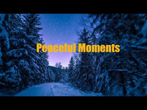 Frozen Horizon 🌅 Piano & Guitar under the Winter Sun