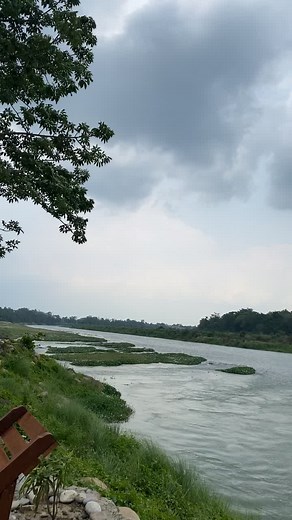 “Our resort is a natural haven, offering an immersive experience surrounded by lush landscapes, serene rivers , and a variety of wildlife. Guests can enjoy scenic trails, tranquil gardens, and the soothing sounds of nature all around.” #lodging #fooding #wildlife #chitwan_national_park #junglevibes #fyp#sauraha_chitwan🇳🇵 ##wildlife #jungleactivities #bestplaceforpeacelover