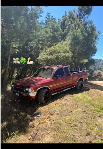 Videos de pato (@pato40917) con “Pepe Y Piché - Efecto Elegante”