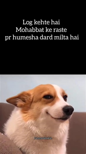 💀💸#memes #tweetreels#brokenheart#sadstatus#lofichill#lofihiphop#asthetic#funny#mohobbat