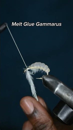 Fly Tying a Melt Glue Gammarus | Fly tying tutorial #flytying #flytyingforbeginners #fishing #shrimp