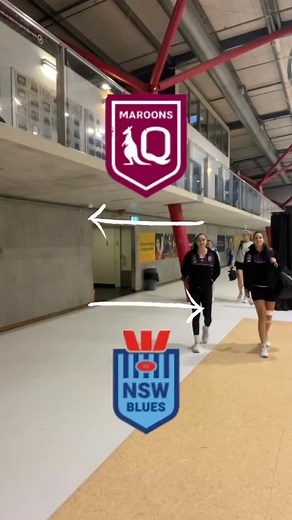 Divisive | Go Media Stars