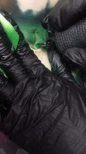 #tattooing inside a NAVEL during a 2 day collaboration w #brandonbond & #ruubenart at #allornothingtattoo #hugetattoo #besttattoo #besttattooartist