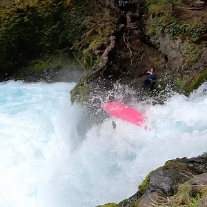 18K views · 1K reactions | Couldn’t resist. #cobra #gopro | Dane Jackson | Facebook