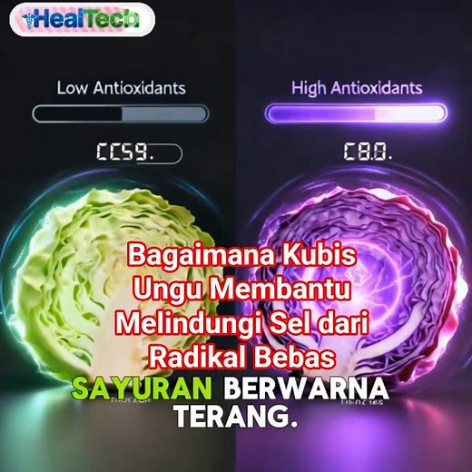 Bagaimana Kubis Ungu Membantu Melindungi Sel dari Radikal Bebas #health #tipssehat #facts