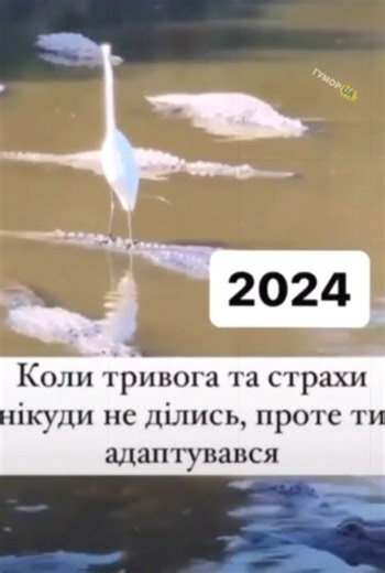 #meme #mememode #memeshorts