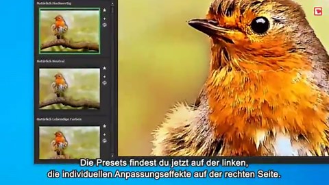 Hochwertige Bildbearbeitung mit Franzis COLOR projects 5