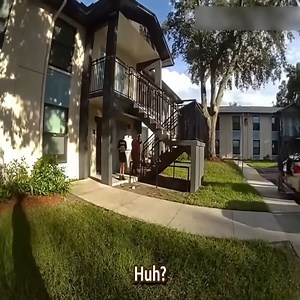 Predator Sends Neighborhood Into Panic | Tequila Rain