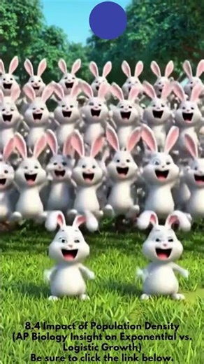 How Fast Can a Rabbit Population Actually Grow #Biology #Shorts