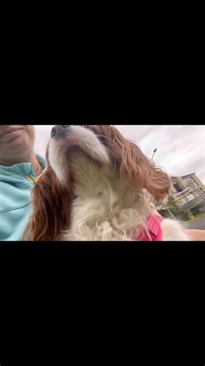 Maeble still loves me for taking Starla out first today x | Your Pet Sitter | Facebook