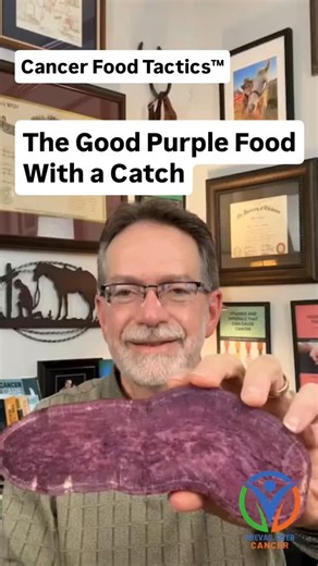 𝐀 𝐟𝐨𝐨𝐝 𝐜𝐚𝐧 𝐛𝐞 𝐛𝐨𝐭𝐡 𝐚 𝐩𝐨𝐰𝐞𝐫𝐟𝐮𝐥 𝐚𝐧𝐭𝐢𝐜𝐚𝐧𝐜𝐞𝐫 𝐚𝐥𝐥𝐲… 𝐚𝐧𝐝 𝐬𝐭𝐢𝐥𝐥 𝐧𝐨𝐭 𝐛𝐞𝐥𝐨𝐧𝐠 𝐨𝐧 𝐭𝐡𝐞 𝐩𝐥𝐚𝐭𝐞 𝐨𝐟 𝐬𝐨𝐦𝐞𝐨𝐧𝐞 𝐚𝐜𝐭𝐢𝐯𝐞𝐥𝐲 𝐟𝐢𝐠𝐡𝐭𝐢𝐧𝐠 𝐜𝐚𝐧𝐜𝐞𝐫. Purple sweet potatoes are one of the most biochemically rich foods in nature. Their deep violet pigments are rich in anthocyanins, compounds studied for their ability to reduce oxidative stress, support healthy cell cycle regulation, and influence apoptosis (cell death) in abnormal cell